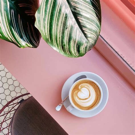 mexican coffee brands taste blend  roast