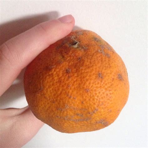 El click bolsones Tangerine Reviews | abillion