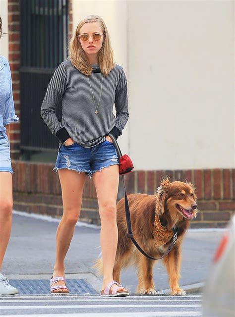 AMANDA SEYFRIED and Her Dog Finn Out in New York 08/27/2015 – HawtCelebs