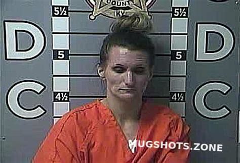 5 Crazy Facts About Madison County KY Mugshots You Won't Believe - kgjg3kl