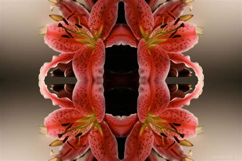 kollide   painfullyclear  deviantart