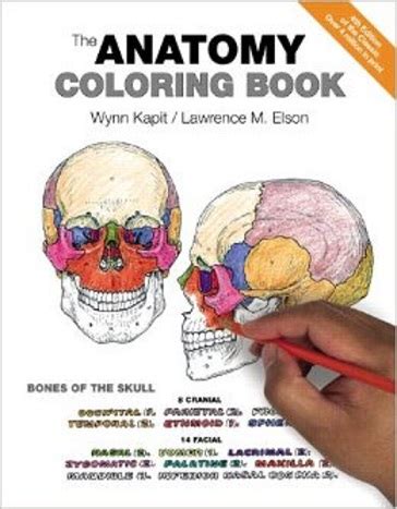 Human Anatomy Coloring Book Pdf Free Download - All Medical Pdfs