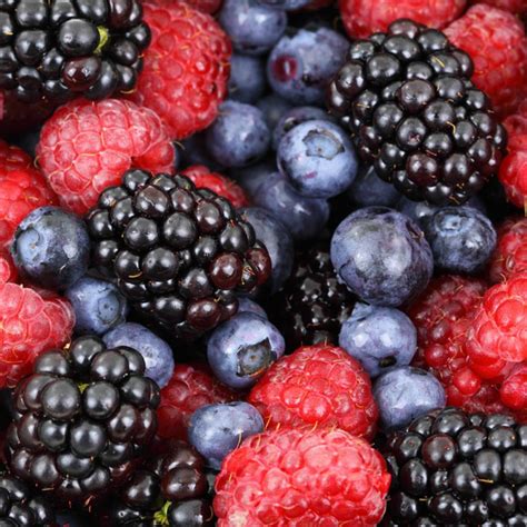 Berry Anatomy and Botanical Uses