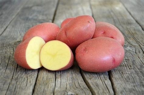 Картофель Каменский. Описание сорта, фото, отзывы, характеристика