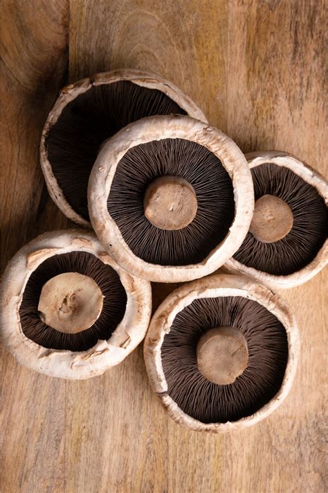 Best Substitute For Shiitake Mushroom (For 2023) » Joyful Dumplings