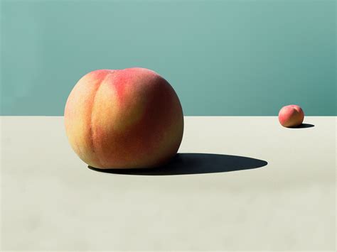 Double Anal Penetration Sex