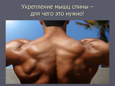 Комплекс упражнений для развития силы мышц спины - презентация онлайн