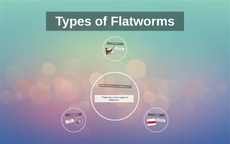 Types of Flatworms by Elsie Aleck on Prezi