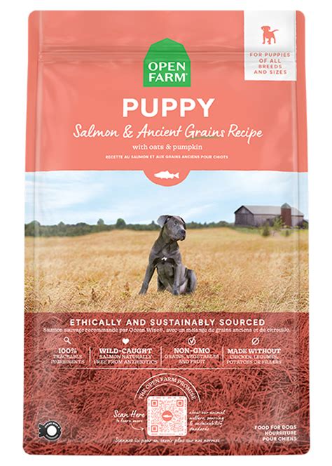 Salmon Puppy Food with Ancient Grains - Open Farm