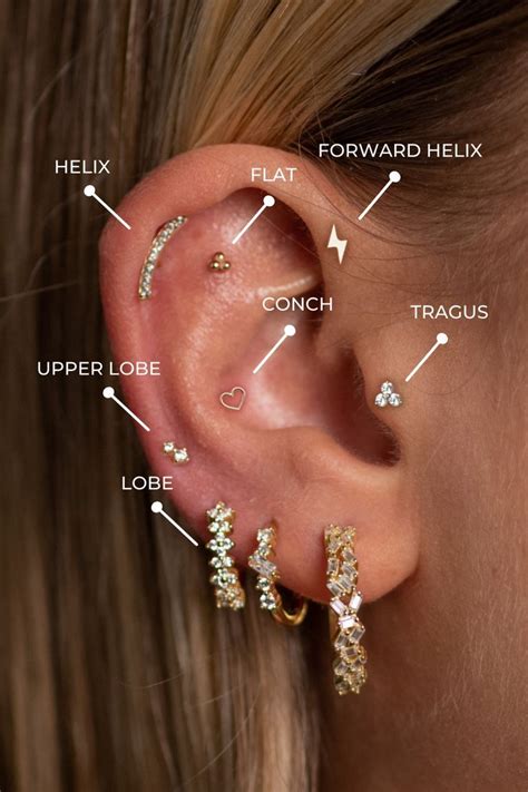 Piercing placements you will love | Ear piercings, Body jewelry ...