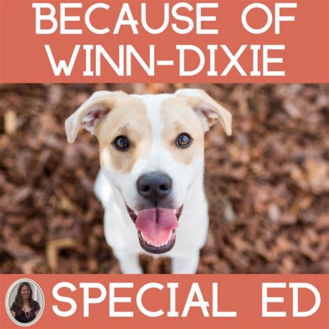 Because of Winn-Dixie Novel Study for Special Education with chapter