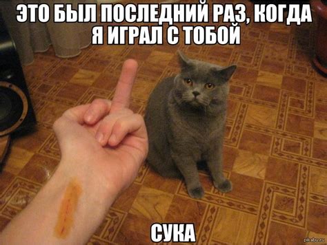 Угадай Куда Царапну - 49 фото