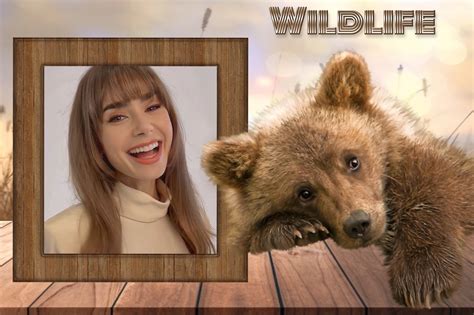 Nette's Wildlife,Animals, Pets, WoodlandAnimals - Wildlife ...