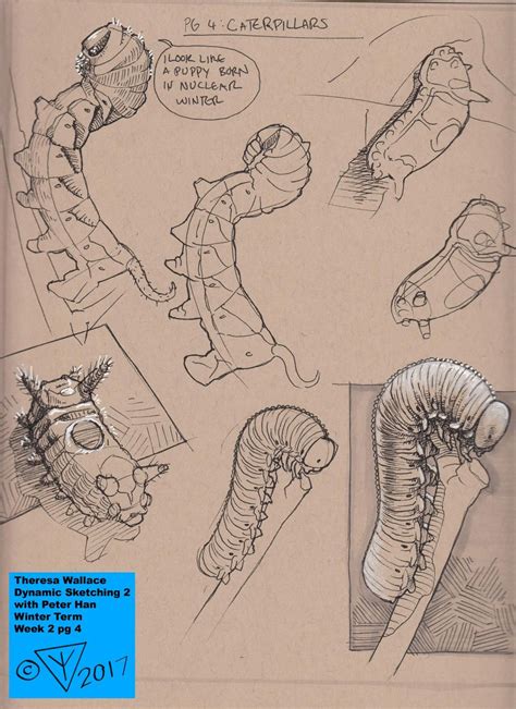Gcse igcse a level art exam ideas 2013 – Artofit