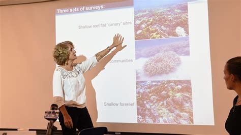 Rising temperatures killed a third of Guam's coral reefs