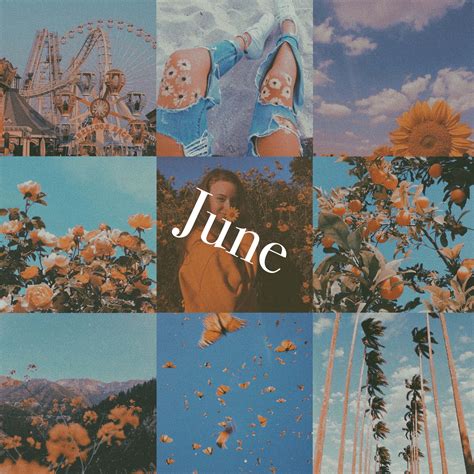 Download June Summer Collage Aesthetic Wallpaper | Wallpapers.com