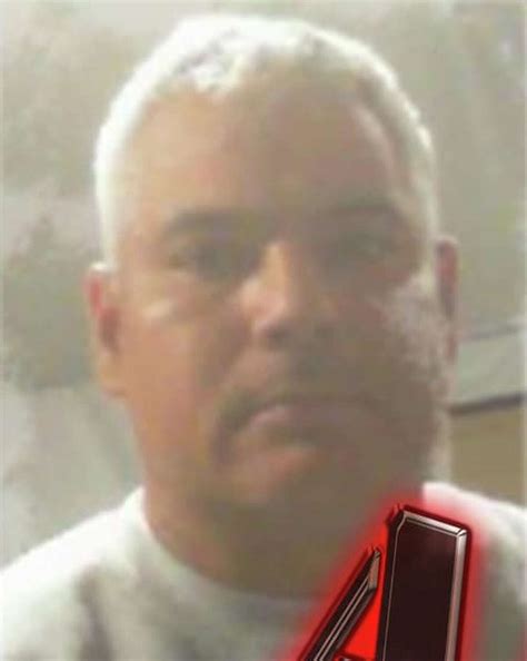 Upstate New York Crime: Latest Catskill Daily Mail Police Blotter Arrests Revealed 7