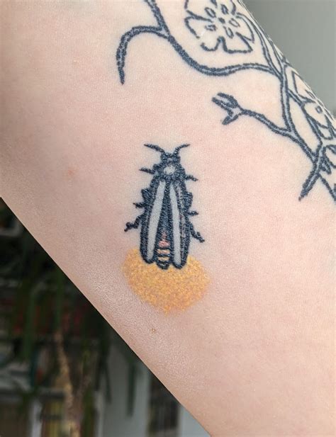 Firefly Bug Tattoo Amazon.com: Fireflies In The Night, Painting,