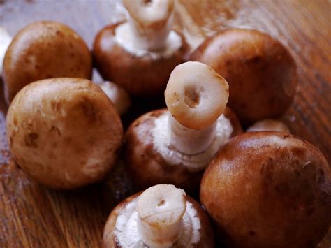 Free picture: mushroom, brown, kitchen table, food, sweet, breakfast