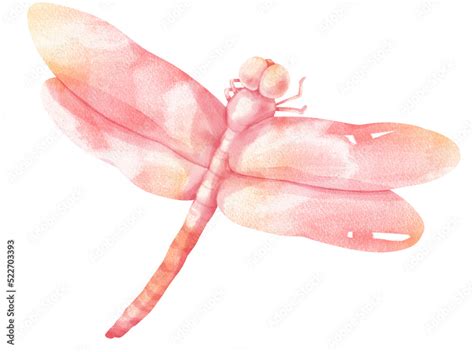 Dragonfly watercolor Stock Illustration | Adobe Stock