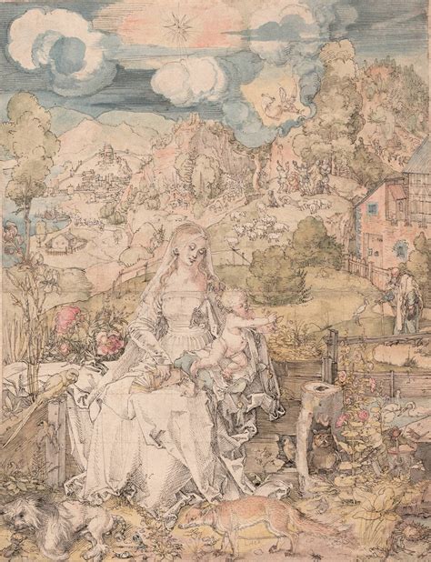 Albrecht Dürer « The Albertina Museum Vienna