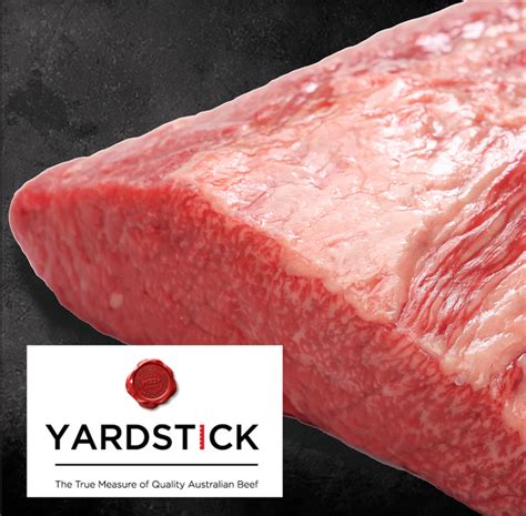Beef Brothers - Beef Brothers Guide - Medium