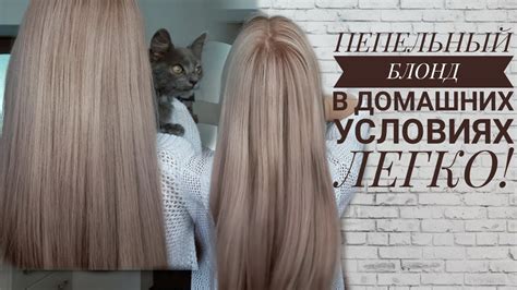 ПЕПЕЛЬНЫЙ ЦВЕТ ВОЛОС ДОМА! Сможет КАЖДЫЙ#ВикторияБу - YouTube