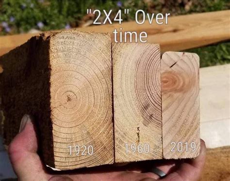 How much weight can a 2x4 hold? | Burlap bag, Bamboo bag, Multi million ...
