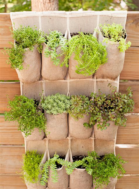Flower Pot Ideas Garden 4 Ideas For Filling Your Large Garden Planters