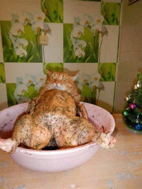 22 головоломных фото, которые просто взрывают мозг » BigPicture.ru