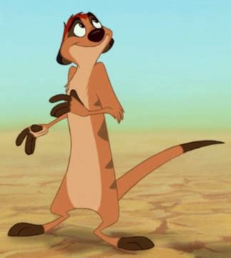 Lion King Characters Timon
