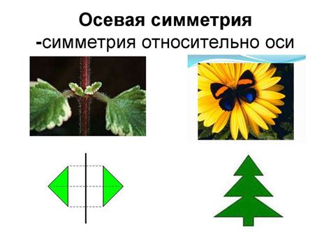 Симметрия. Виды симметрии - online presentation