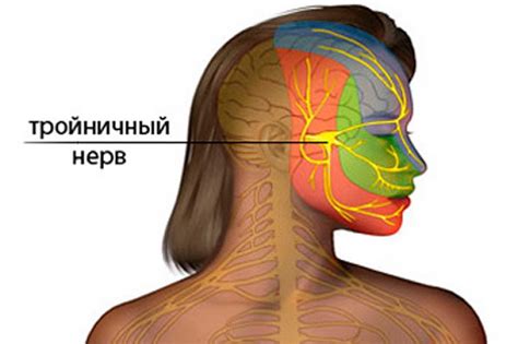 Неврит лицевого нерва и гимнастика при заболевании - Estet-Portal