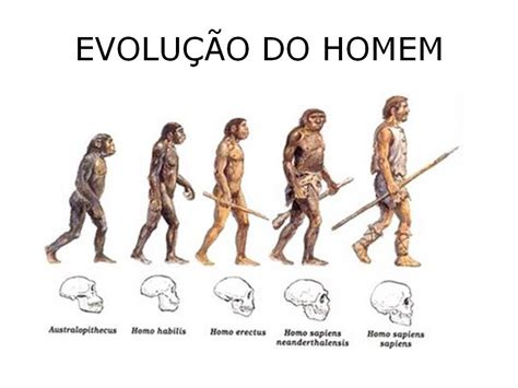 A Evolução Do Homem Está Ligada Aos Sistemas Produtivos - GEOGRAFIA DO MUNDO: A EVOLUÇÃO DO HOMEM