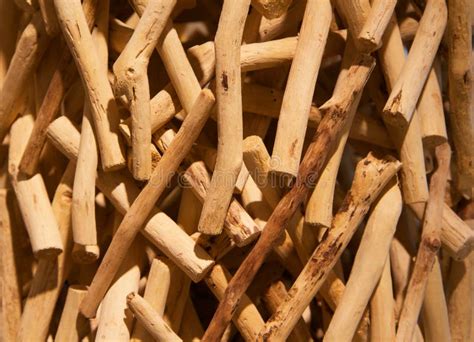 Pile of sticks stock photo. Image of lumber, chop, group - 14942890