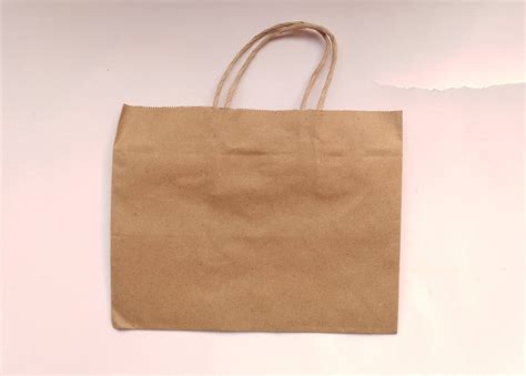 Brown Paper Bag With Twisted Paper Handle (Pack of 10) - Gulmorin