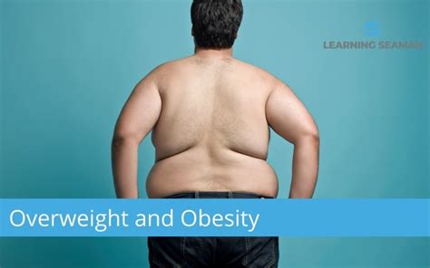 overweight  obesity weight management seably