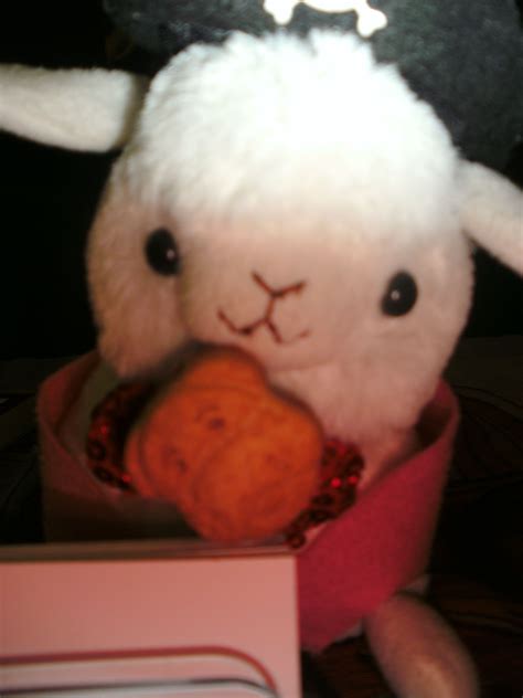 Past Events – Arguing With A Fish