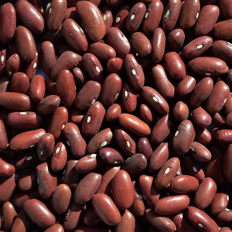 kidney beans