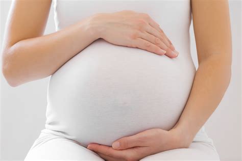 Western Australian Handheld Pregnancy Record Updated | Mirage News