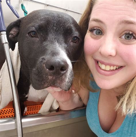 Samantha grooming | East Hanover NJ