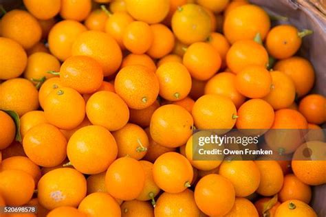small orange fruit   premium high res pictures getty images