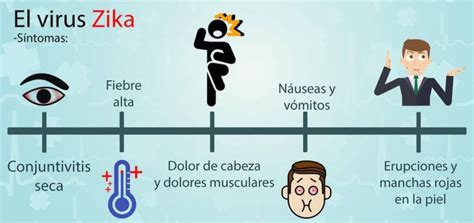 Zika: información y prevención para viajeros - Salud.net.ar
