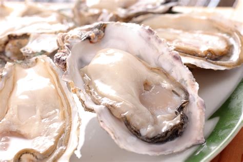 Tara Town: Enjoy a Unique, Dreamy Onsen Getaway by the Sea