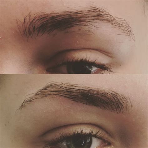 Brow wax | Brow wax, Brows, Wax