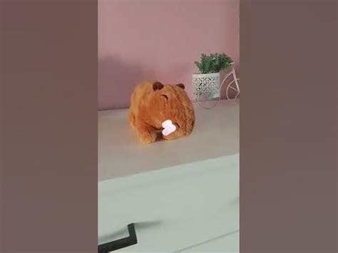 какибара камень 🗿 - YouTube