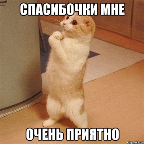 спасибочки мне очень приятно, Мем котэ молится - Рисовач .Ру