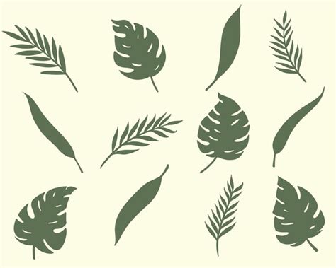 premium vector set   leaves