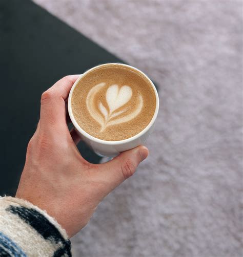 Die 7 besten Specialty Coffee Shops in München | MIA SAN FOODIES