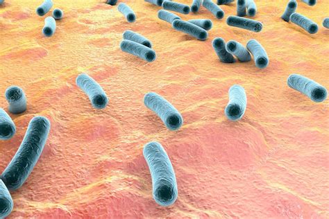 E coli skin infection antibiotics